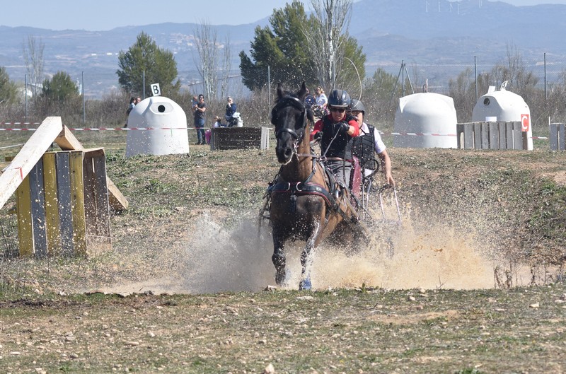Emoción a las riendas